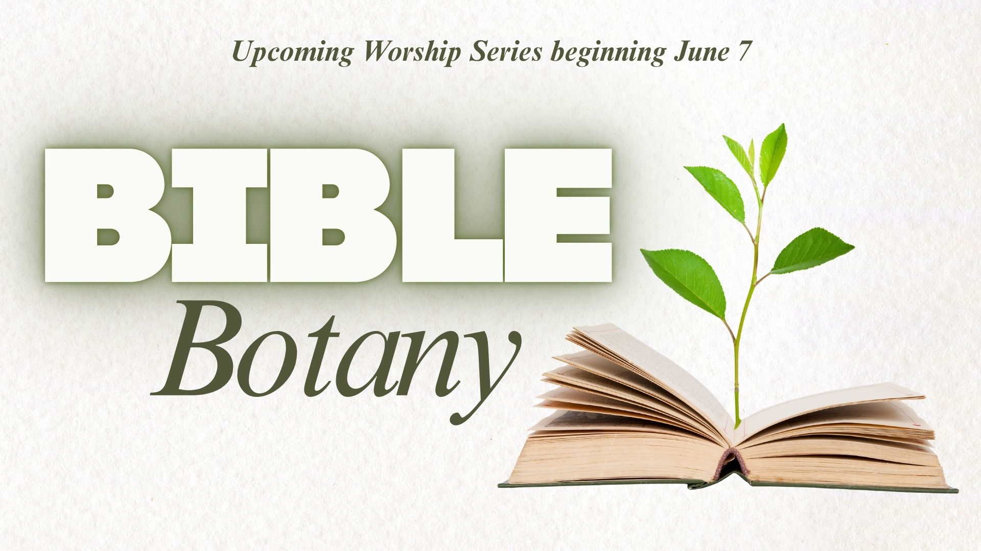 Bible Botany Graphics